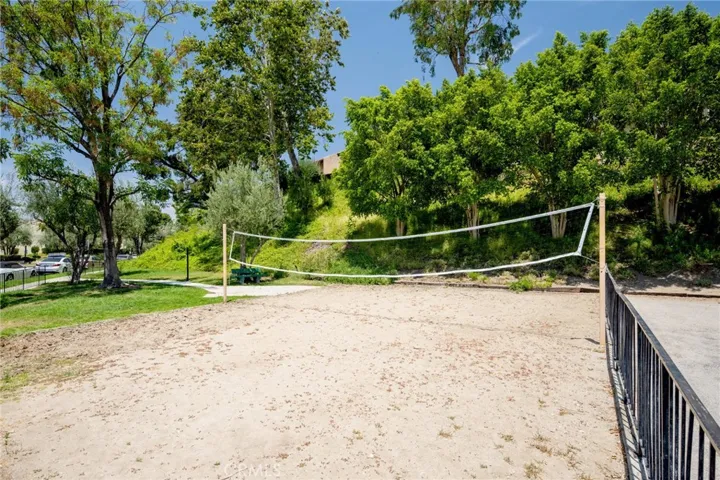 Volleyball Court