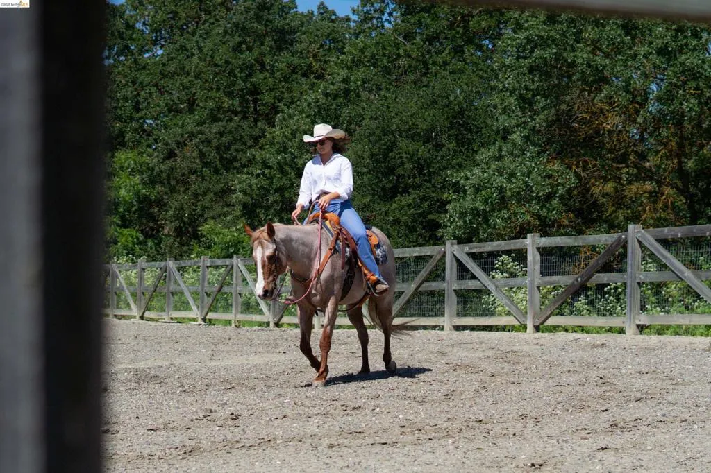 Outdoor riding arena with a natural wood fence perimeter and a gravel surface