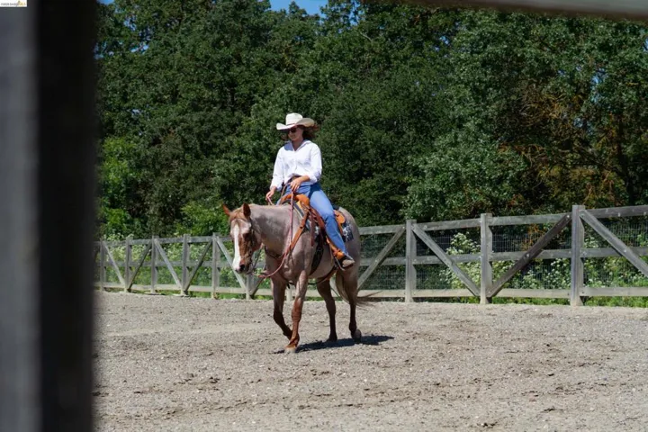 Outdoor riding arena with a natural wood fence perimeter and a gravel surface