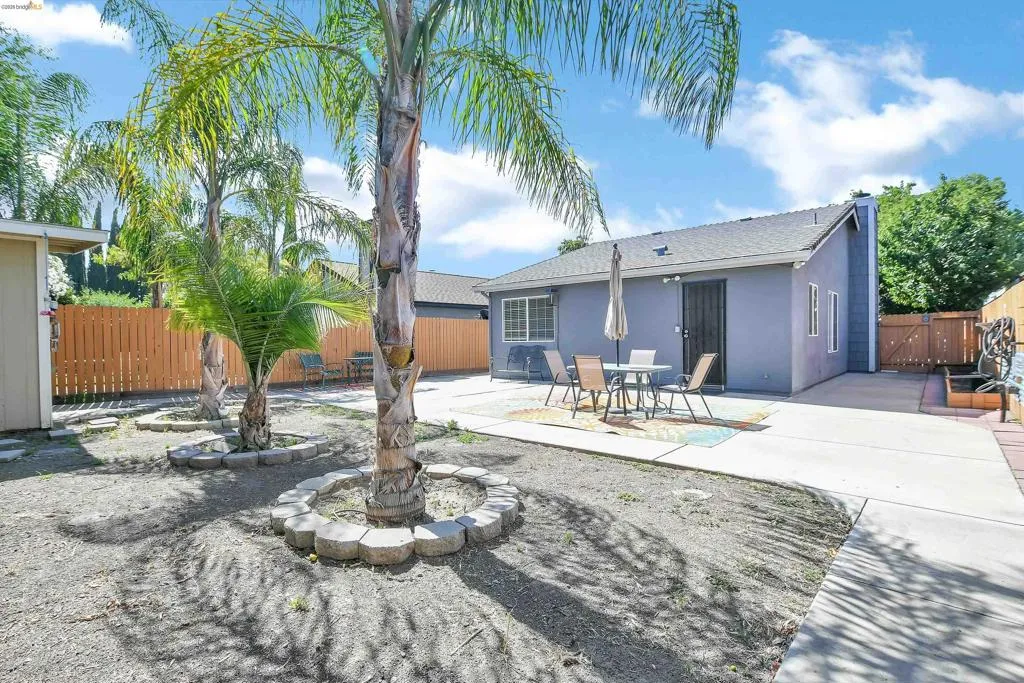 Rear exterior with a concrete patio, perimeter fencing, and mature palm trees