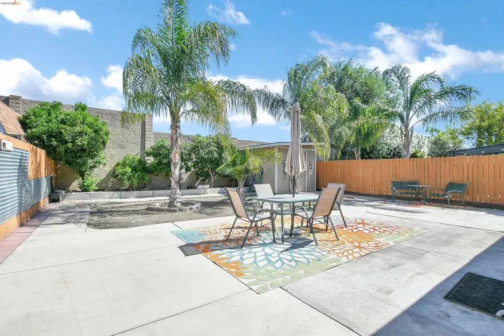 Expansive concrete patio area featuring a privacy fence, mature palm trees, and a storage shed