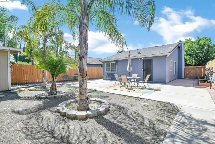 Rear exterior with a concrete patio, perimeter fencing, and mature palm trees