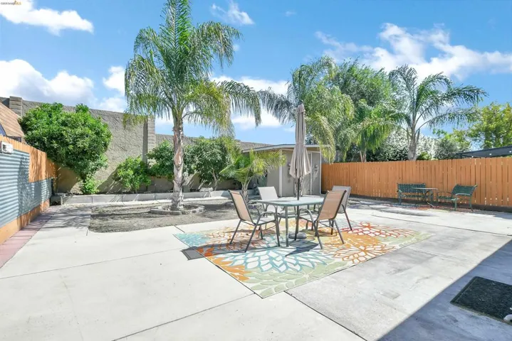 Expansive concrete patio area featuring a privacy fence, mature palm trees, and a storage shed
