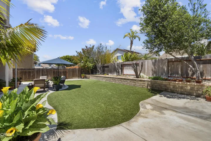 1522-carnation-37-backyard
