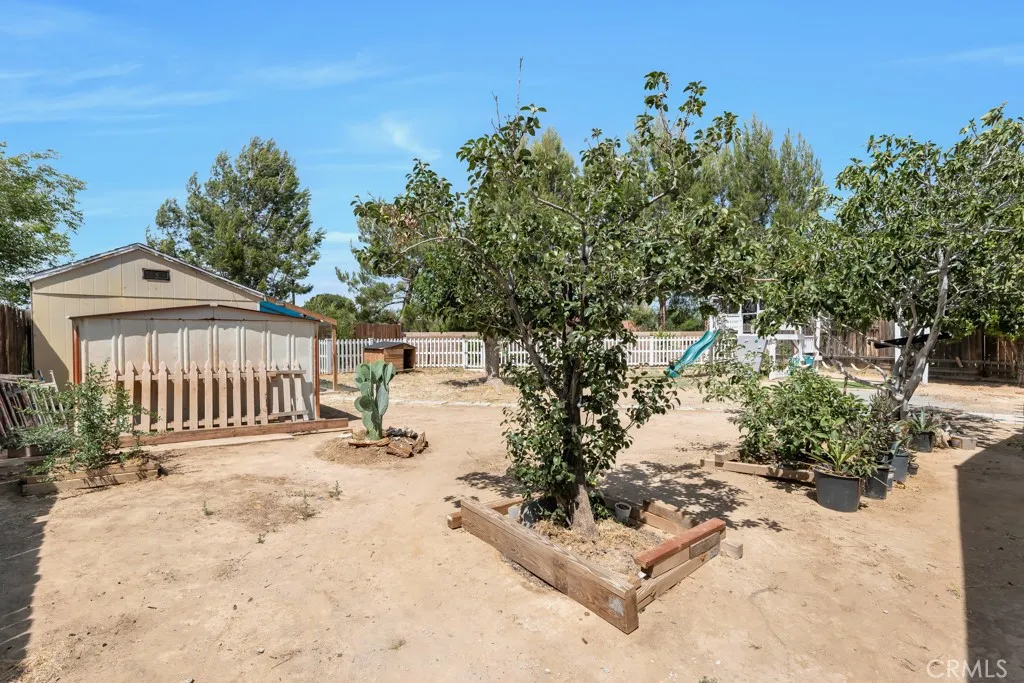 9,000+ lot, fruit trees