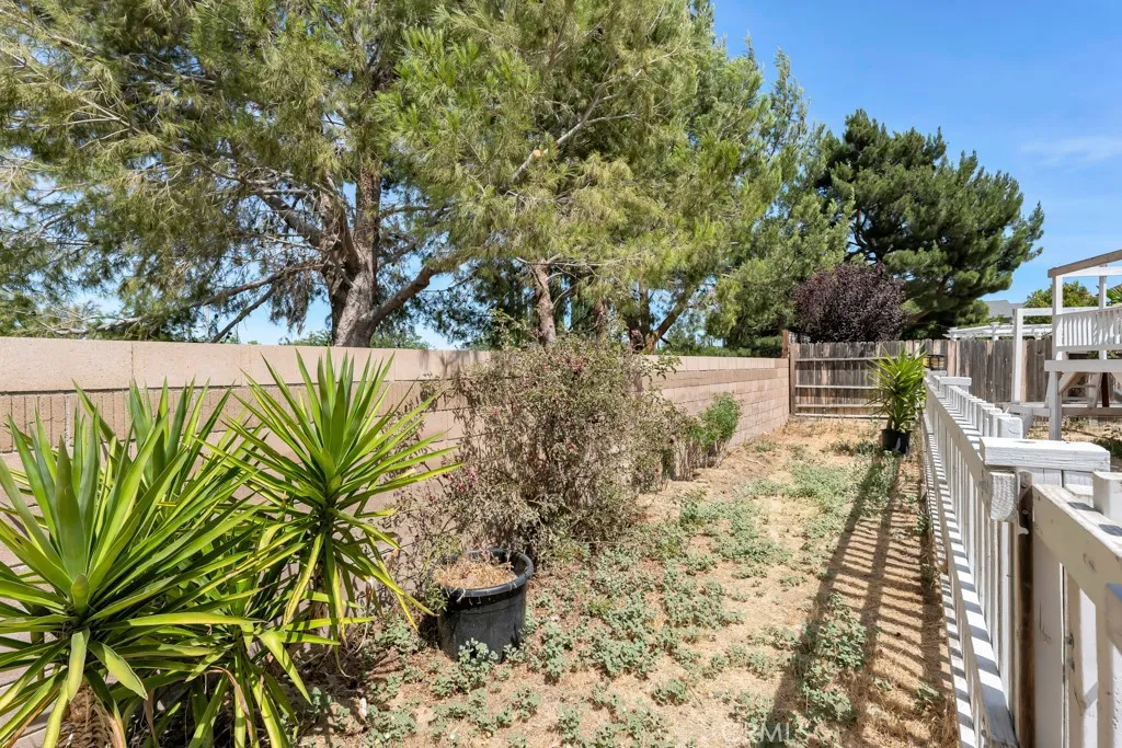 Veggie garden