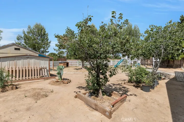 9,000+ lot size with playground, fruit trees