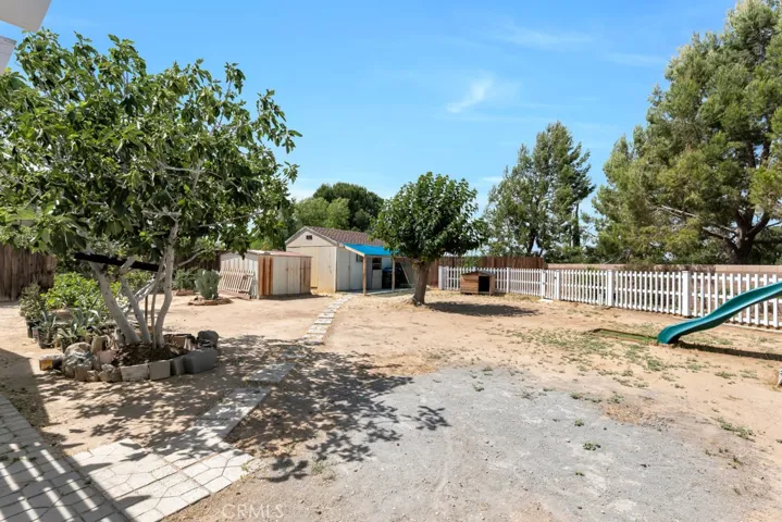9,000+ lot size with playground, fruit trees