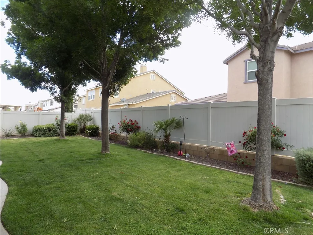 Backyard view