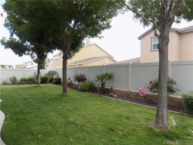 Backyard view