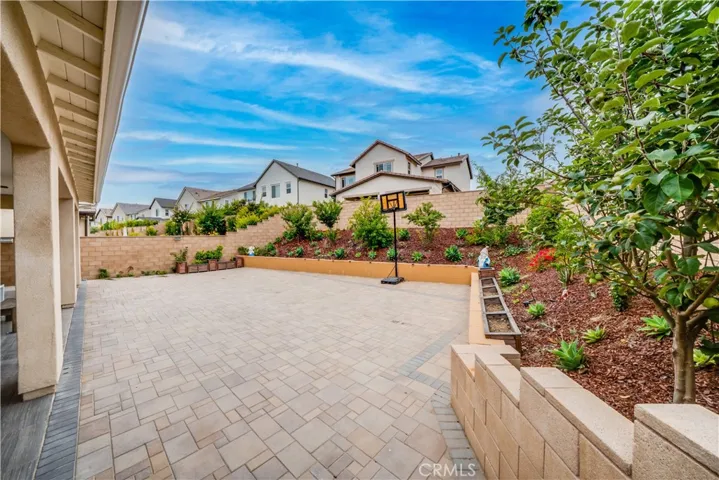 backyard with many fruittrees