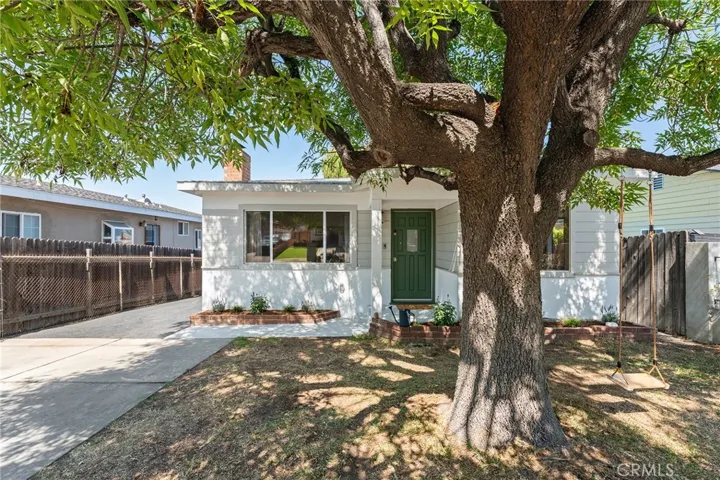 Picturesque Front Yard with Tree Swing