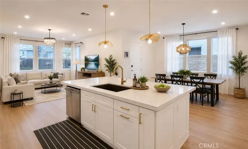 229 Shoveler, Irvine, California 92618