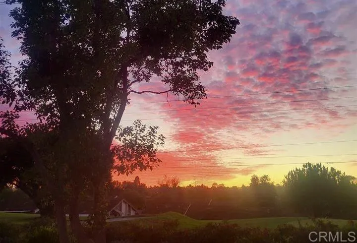 Actual view taken from Living room patio.