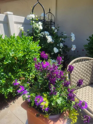 1809 Pleasantdale Drive, Encinitas, California 92024