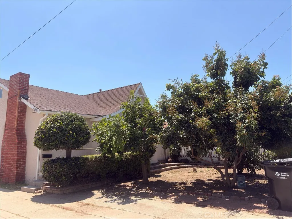 Many fruit trees at the front yard
