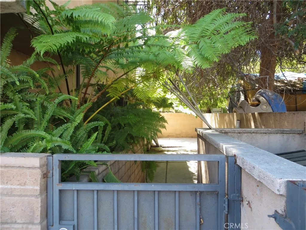 Side yard view