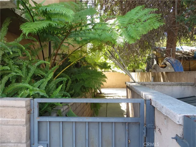 Side yard view