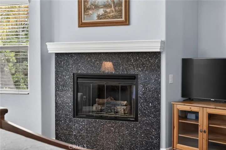 Primary Fire Place