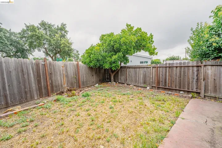 Fenced backyard space featuring a mature tree and concrete patio