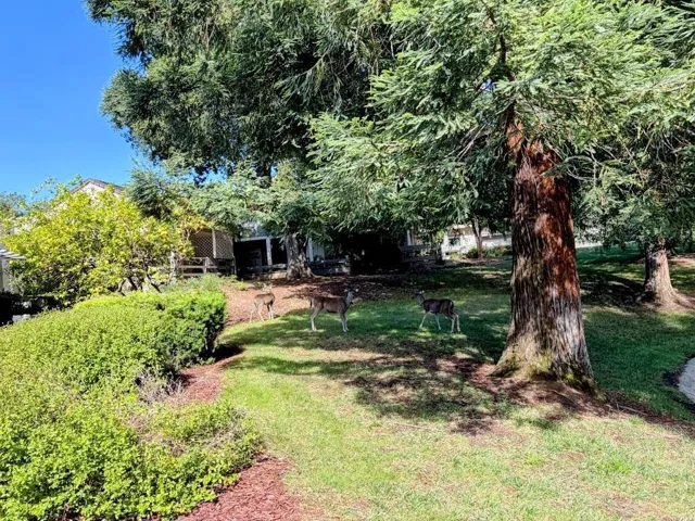 6139 Montgomery Place, San Jose, California 95135
