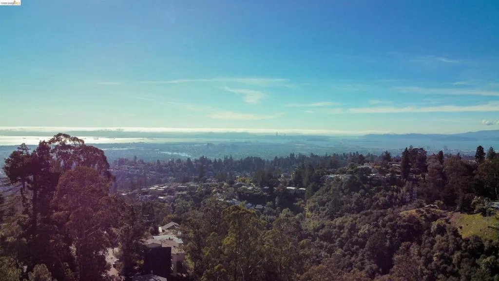 Filtered bay views from the top of the lot.