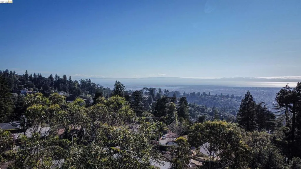 Drone / aerial view of a heavily wooded area