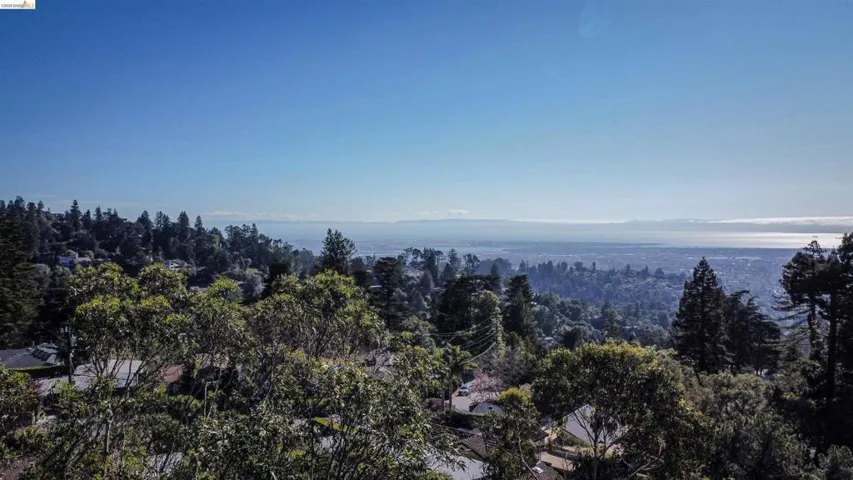 Drone / aerial view of a heavily wooded area