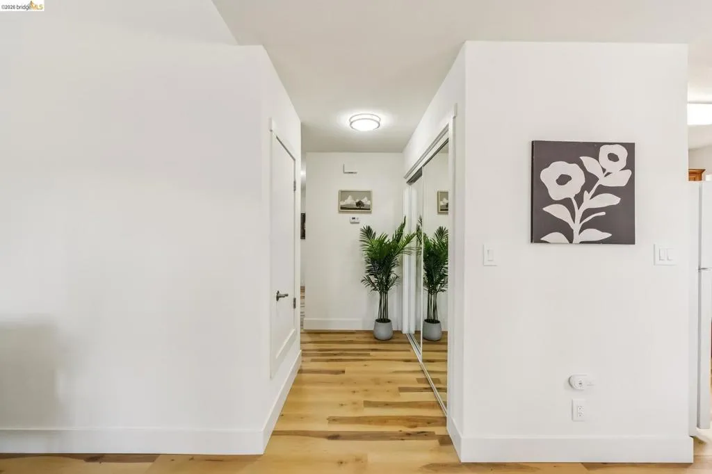 Hallway featuring wood-finish flooring, white baseboards, flush-mount lighting, and mirrored closet​​‌​​​​‌​​‌‌​​‌​​​‌‌​​​‌​​‌‌​​‌‌​​‌‌​​​​ doors