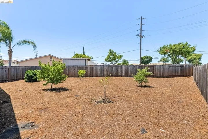 Spacious backyard featuring a wood chip ground cover, several young trees, and a full perimeter wood privacy fence