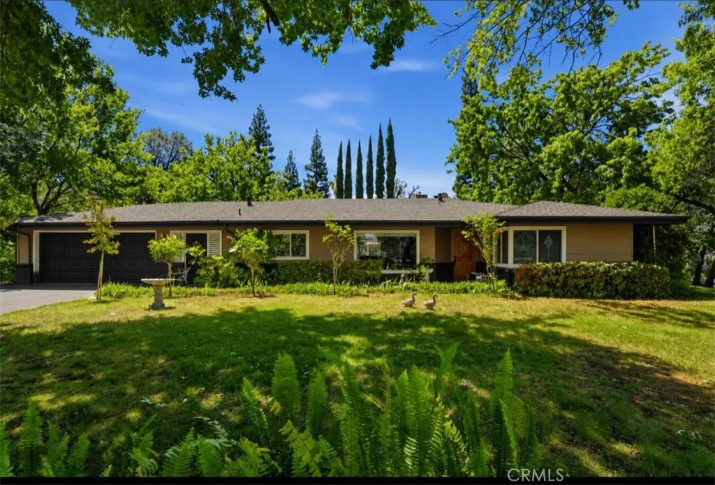 55 Pine Oaks Rd