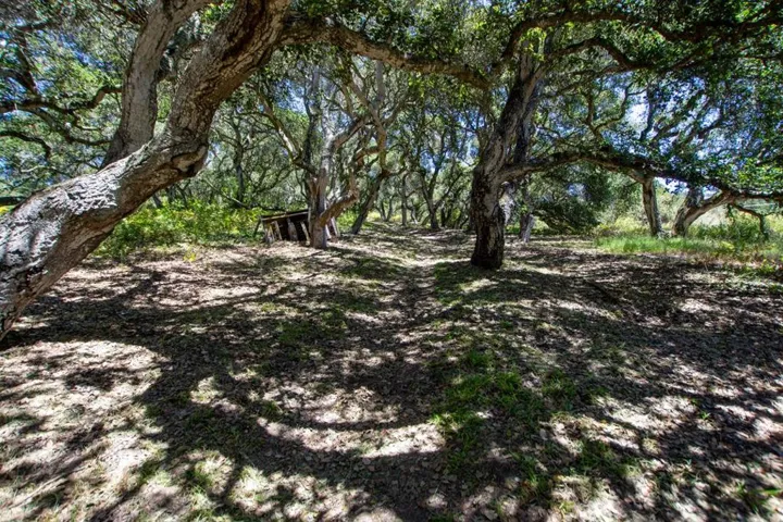 425 Echo Valley Road, Salinas, California 93907