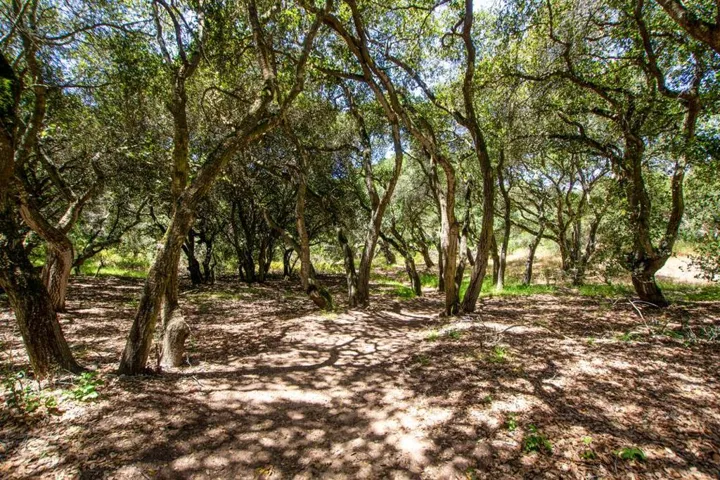 425 Echo Valley Road, Salinas, California 93907