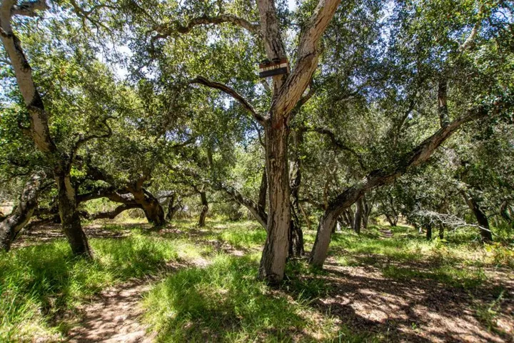 425 Echo Valley Road, Salinas, California 93907