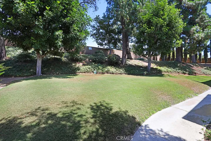 Peaceful park like setting