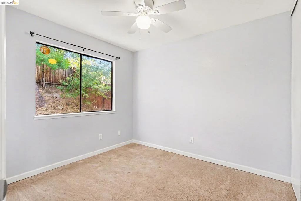Carpeted room featuring a white ceiling fan with integrated lighting, a large window with a black frame, and white baseboards