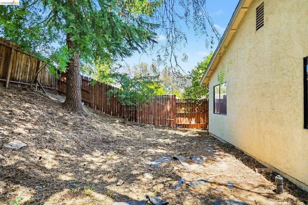 Expansive yard featuring a mature tree, sloped terrain, and a wood fence