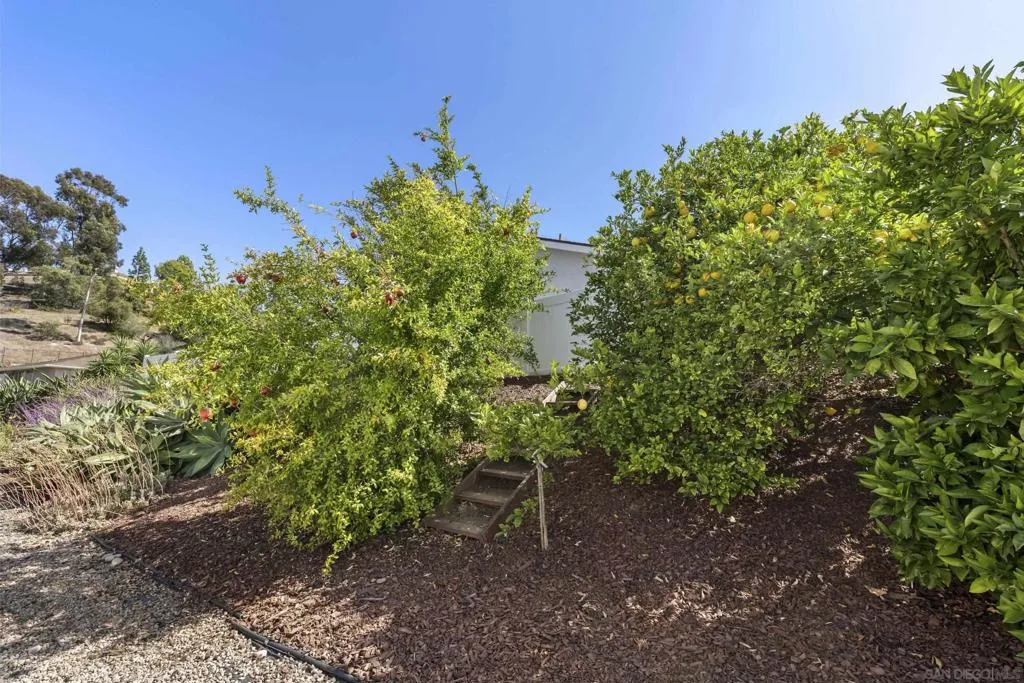 Fruit trees surrounding property. Yard continues beyond fence down to sidewalk.