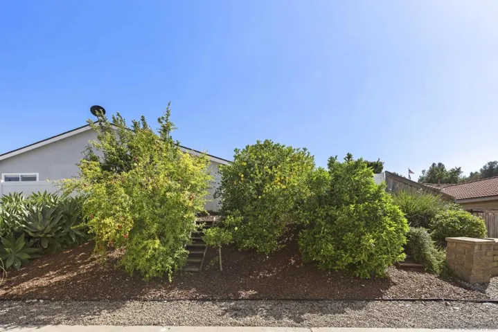 Have your own mini Orchard