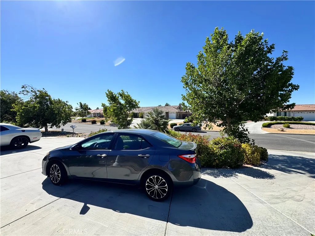 Circle Driveway