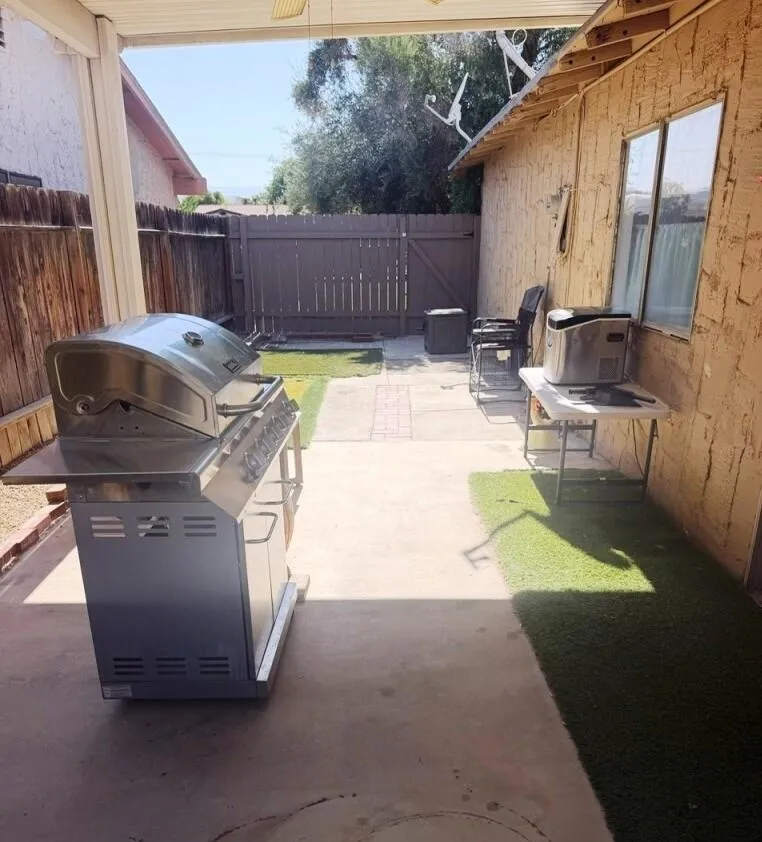 Backyard