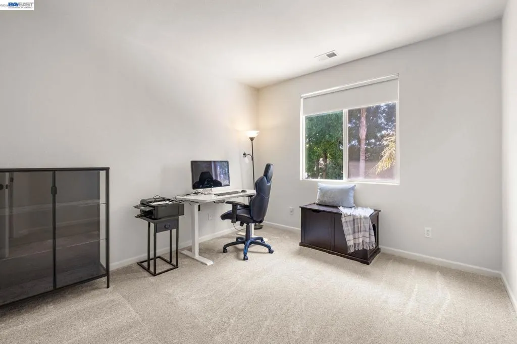NEWER CARPET THROUGHOUT