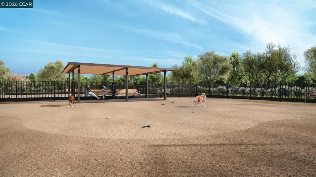 Dog Park