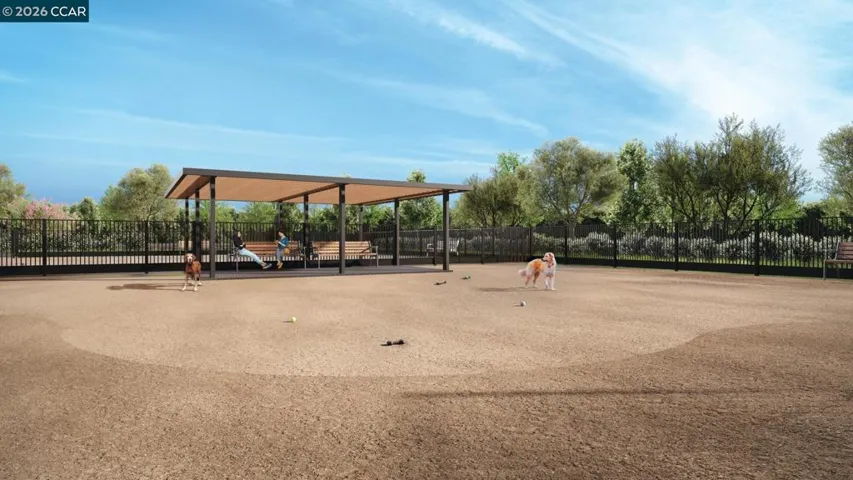 Dog Park