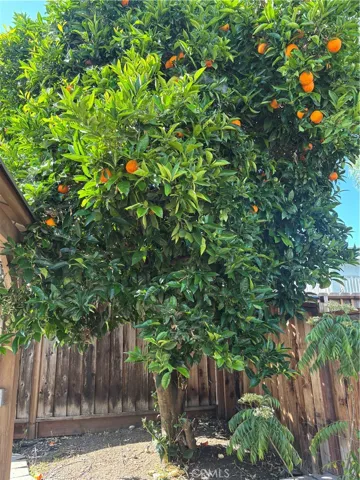 3267 Sueno Drive, San Jose, California 95148