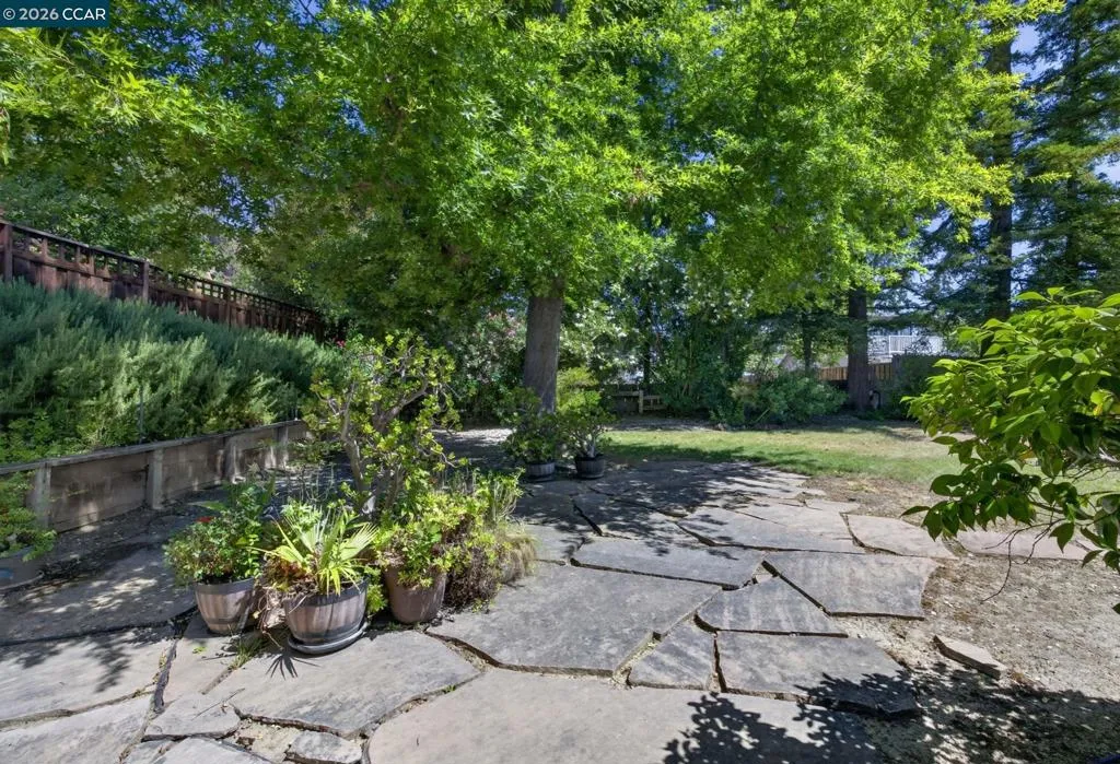 Park Like Backyard