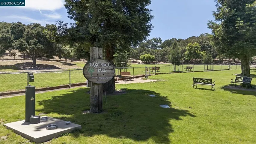 Dog Park