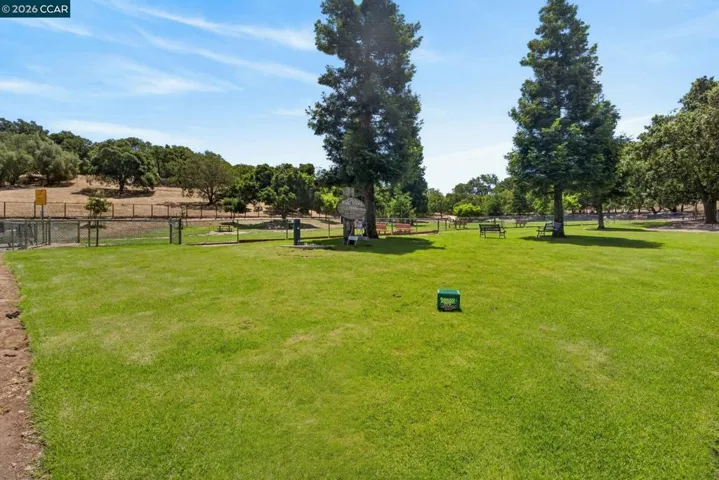 Dog Park