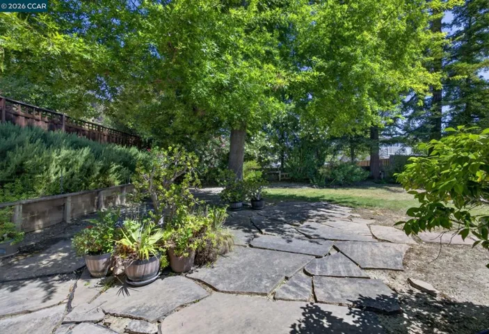 Park Like Backyard