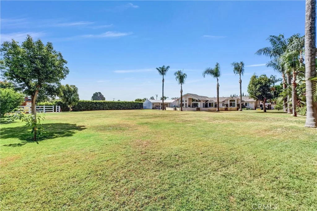 Huge Yard